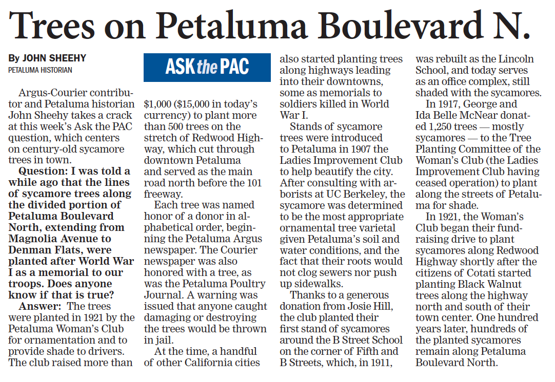 Argus Article PWC plants trees on Petaluma Blvd